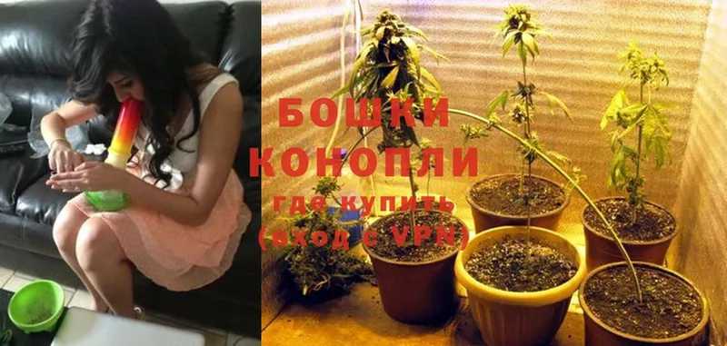 МЕГА как зайти  где продают   Нестеров  Марихуана White Widow 